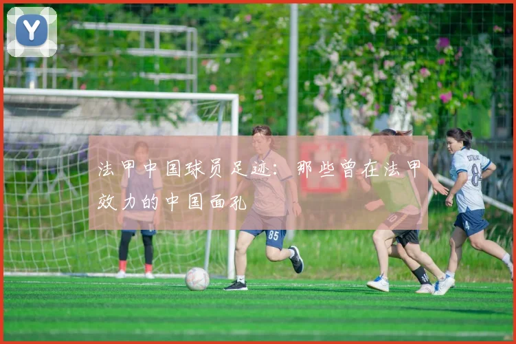 法甲中国球员足迹:那些曾在法甲效力的中国面孔